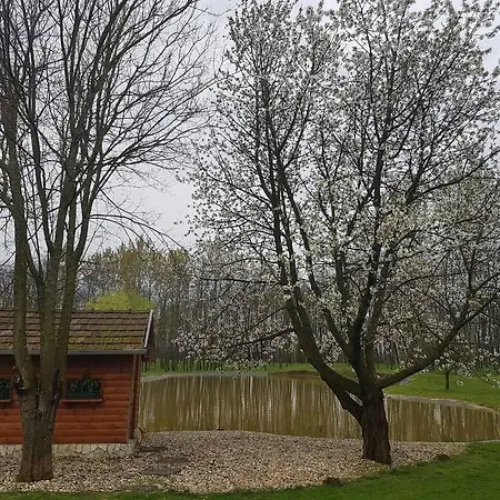 Ferienhaus Alfredo Vendeghaz Nyíregyháza