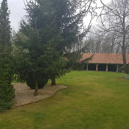 Alfrédó Vendégház Nyíregyháza