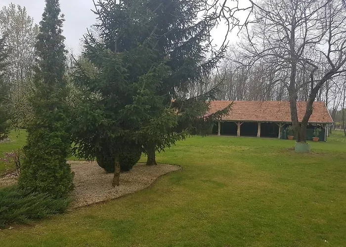 Alfredo Vendeghaz Nyíregyháza