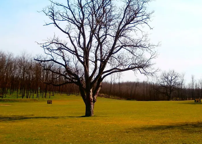 Feriehus Alfredo Vendeghaz Nyíregyháza